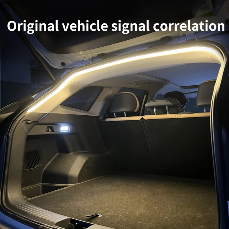 Автомобиль, высокая яркость, о – обзор и цена Led El Wire